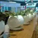 福星照MY15184710865