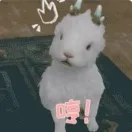 胡萝卜勾引小白兔