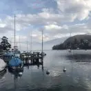 顾志峰（红杉树）