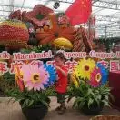 君子花