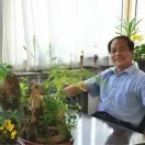 李自成